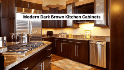 Modern Dark Brown Kitchen Cabinets