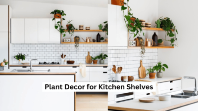 Plant Decor for Kitchen Shelves